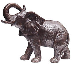 AFRICAN ELEPHANT